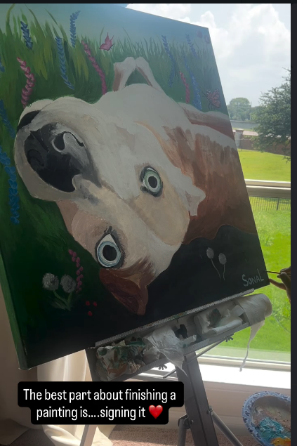 Painted dog portrait in a wildflower field